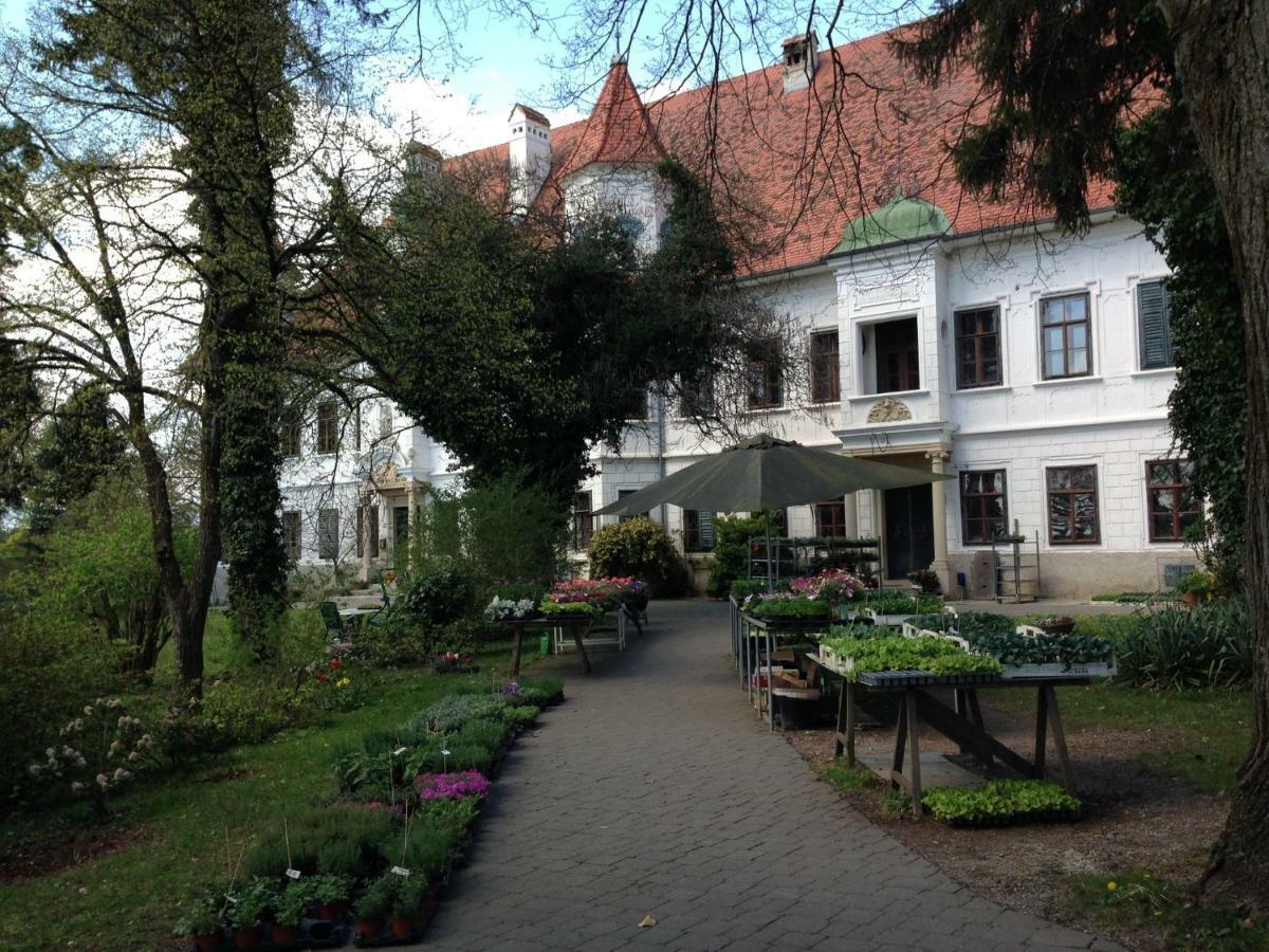 Villa Haus Soeding à Soding Extérieur photo